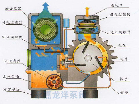 XD單級旋片式真空泵結(jié)構(gòu)圖